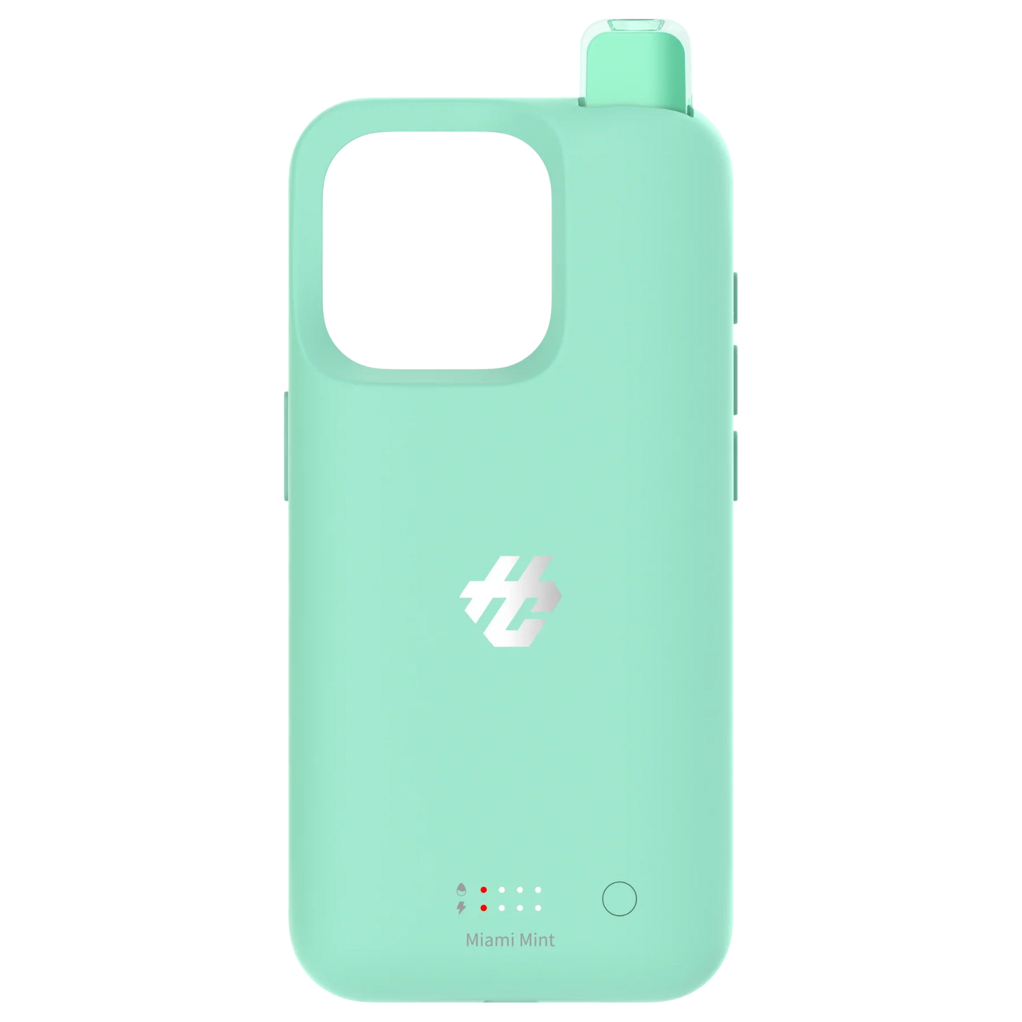 iPhone Case 5%